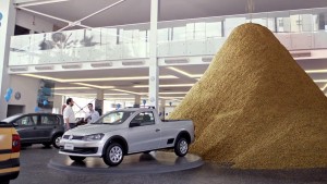 VW_MILHO