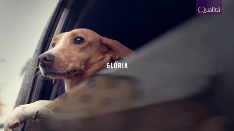Estrela da campanha de Qualitá ganha novo lar