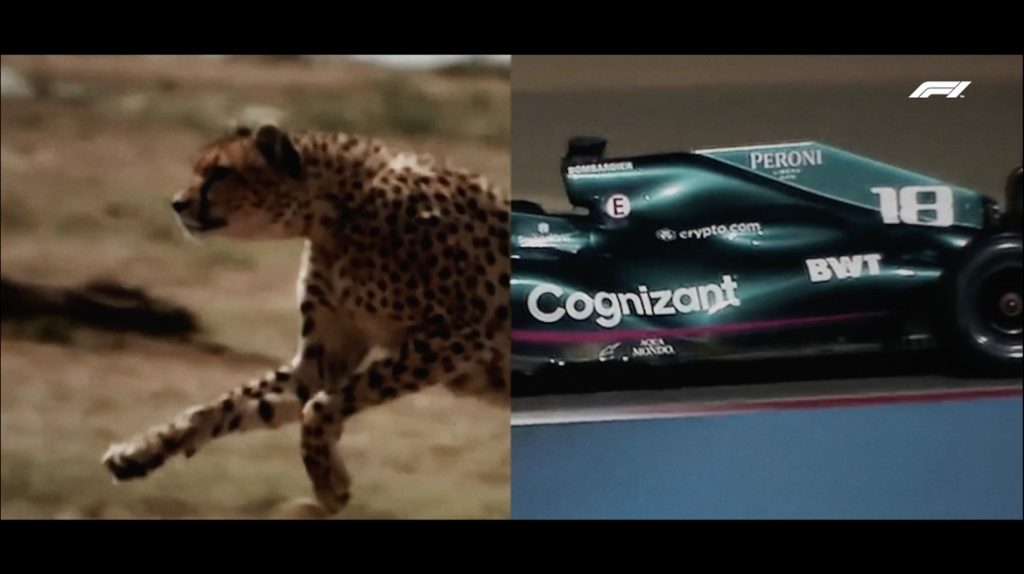 Band cresce em audiência e mostra histórias por trás da F1