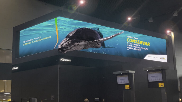 Baleia jubarte em 3D em aeroportos de São Paulo