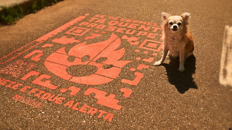 Purina usa alertas termossensíveis para proteger patinhas de cachorros