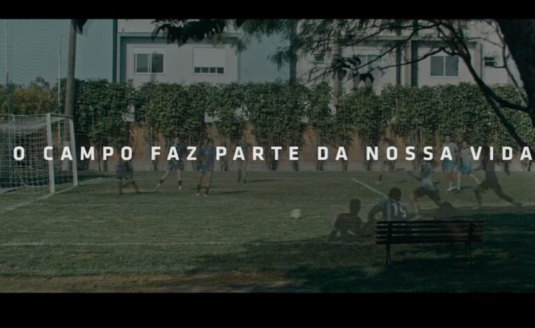 Avaí Futebol Clube quer atrair novos sócios