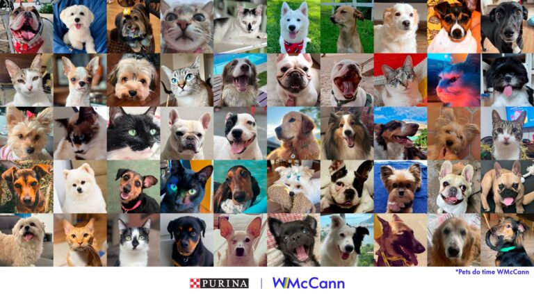 WMcCann vai atender Purina
