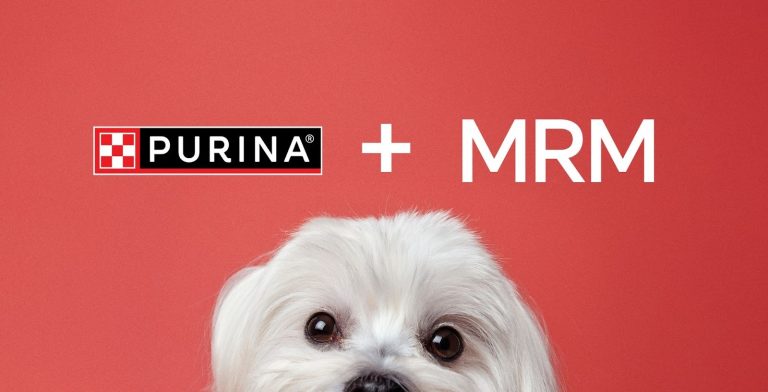 Purina escolhe MRM Brasil para liderar projeto digital na América Latina