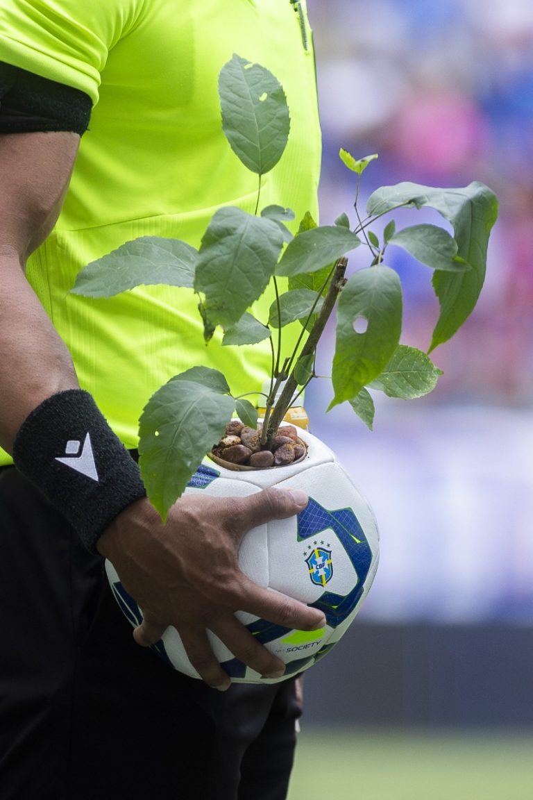 Fim de semana de futebol e reflorestamento: Brasileirão encerra 2025 com a Torcida Pelo Planeta