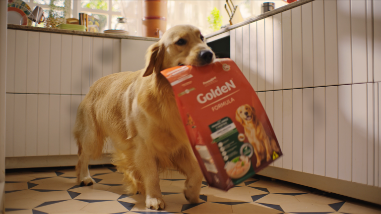 GoldeN explora “reloginho” dos pets focando em rotina e vínculo