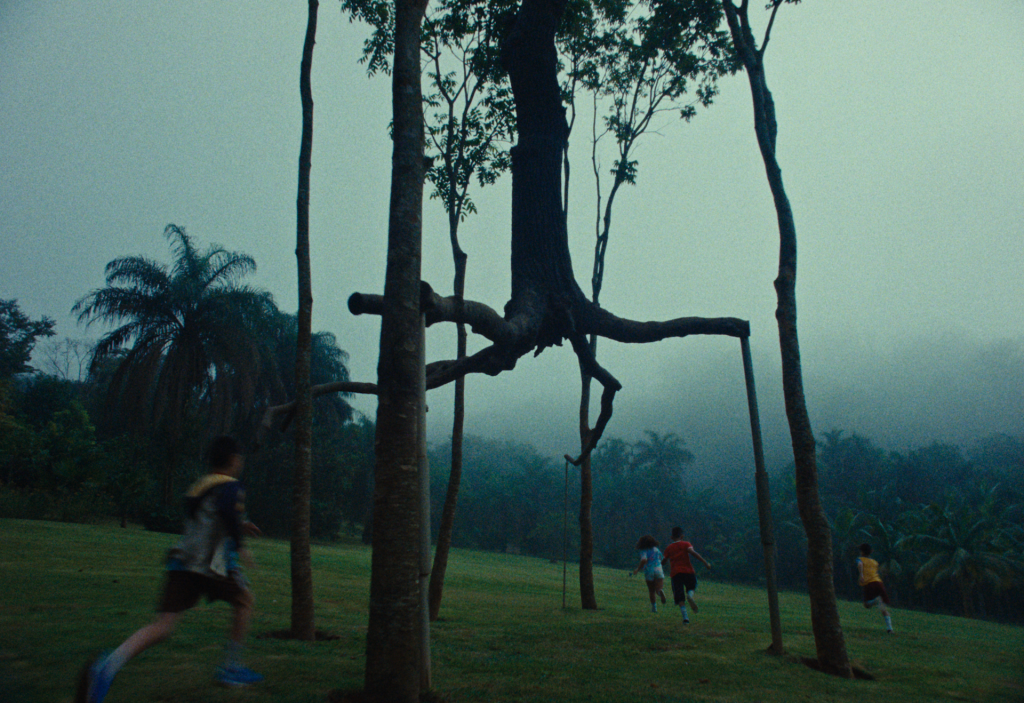 Inhotim celebra 20 anos em filme sobre tempo, arte e natureza